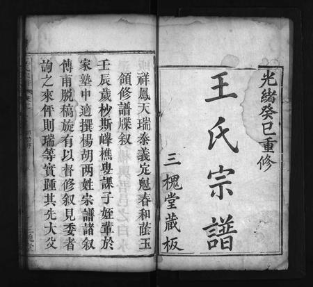 河南王氏族谱-王氏宗谱 [14卷].pdf电子版插图2