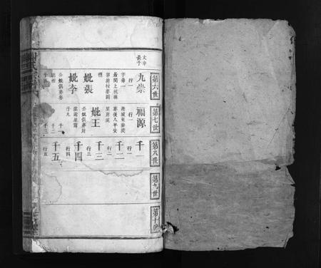江西、广东谢氏族谱-谢氏宗谱 [不分卷].pdf电子版插图2