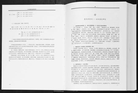 河南袁氏族谱-中华袁氏通用世系[1册].pdf电子版插图2