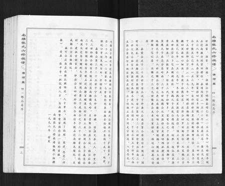 广东张氏族谱-南雄张氏六修族谱[不分卷].pdf电子版插图2