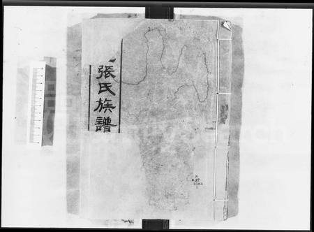 广东张氏族谱-张氏族谱 [32卷].pdf电子版插图2