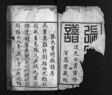 河南张氏族谱-张氏宗谱 [8卷].pdf电子版插图2