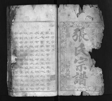河南张氏族谱-张氏宗谱 [各房分卷,首11卷].pdf电子版插图2