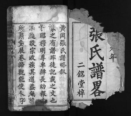 河南张氏族谱-张氏谱畧 [16卷,首末各1卷].pdf电子版插图2