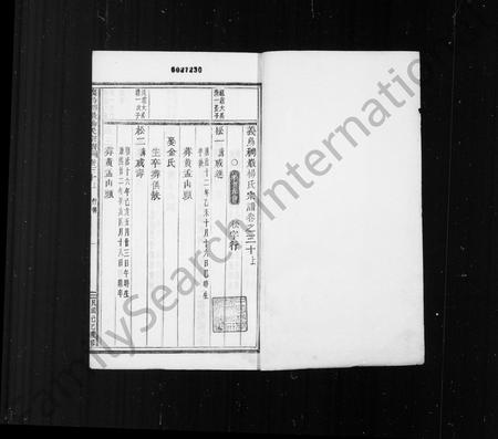 义乌杨氏族谱-稠巖杨氏合族宗谱 ： [37卷](别名：义乌稠巖杨氏宗谱).pdf电子版插图2