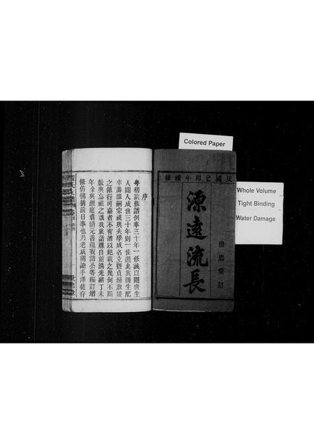安徽程氏族谱-程氏支谱 [9卷,首1卷].pdf电子版插图2