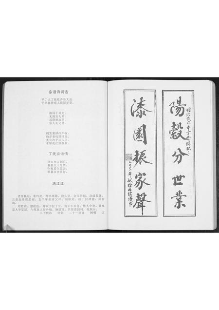 安徽丁氏族谱-丁氏宗谱[不分卷].pdf电子版插图2