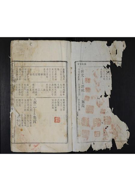 安徽丁氏族谱-丁氏宗谱 [残卷].pdf电子版插图2