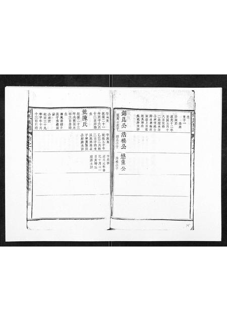 安徽何氏族谱-何氏族谱[10卷首末各1卷].pdf电子版插图2