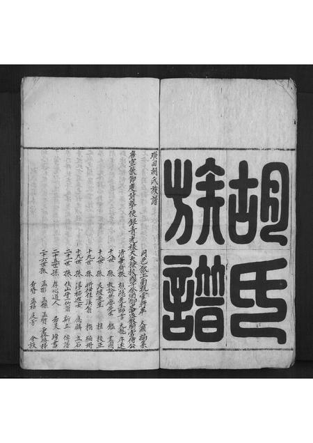 安徽胡氏族谱-胡氏族谱[不分卷].pdf电子版插图2