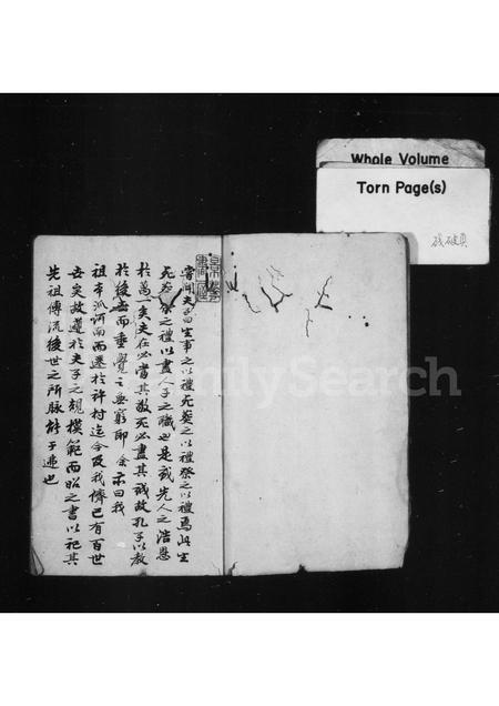 安徽许氏族谱-许村东支谱.pdf电子版插图2