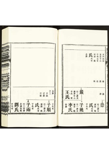 安徽贾氏族谱-贾氏宗谱.pdf电子版插图2