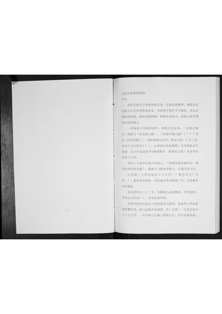 安徽金氏族谱-金氏家谱[不分卷].pdf电子版插图2