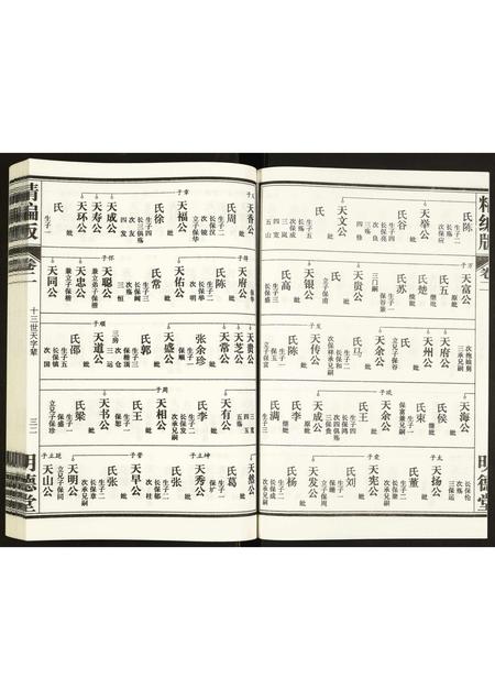 安徽康氏族谱-康氏族谱.pdf电子版插图2 安徽康氏族谱-康氏族谱.pdf电子版插图2