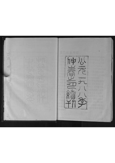 安徽廖氏族谱-廖氏宗谱.pdf电子版插图2