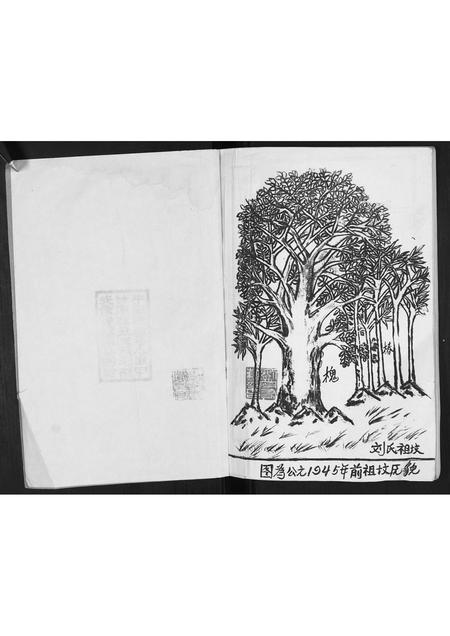 安徽刘氏族谱-刘氏家谱[不分卷].pdf电子版插图2