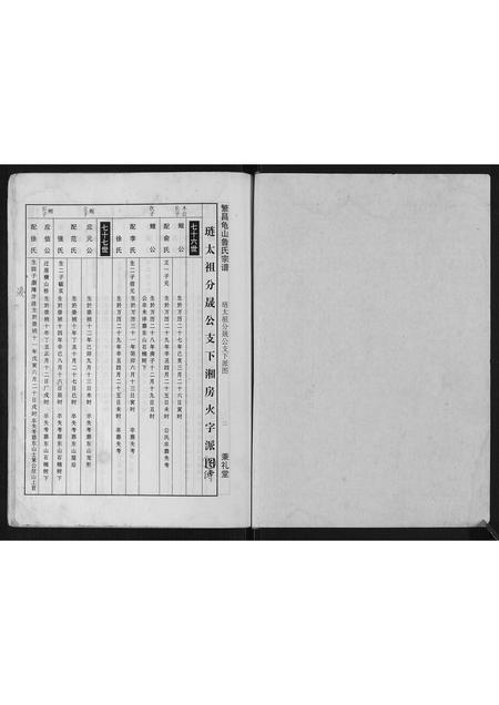 安徽鲁氏族谱-瀪昌宅山鲁氏宗谱[不分卷].pdf电子版插图2