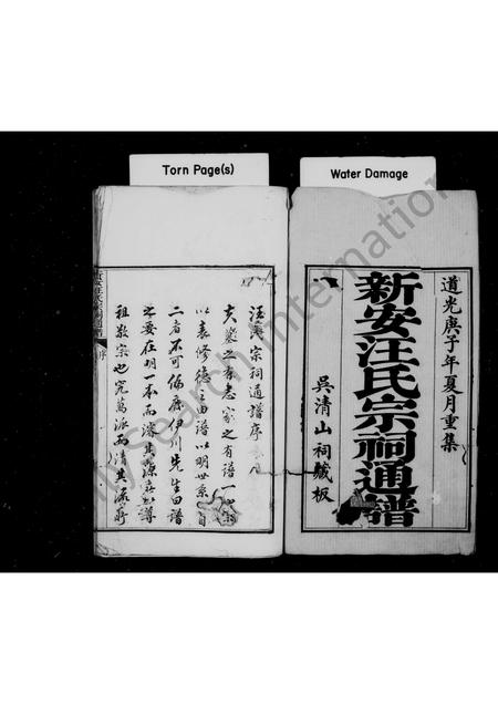 安徽汪氏族谱-新安汪氏宗祠通谱 [4卷,首末各1卷].pdf电子版插图2