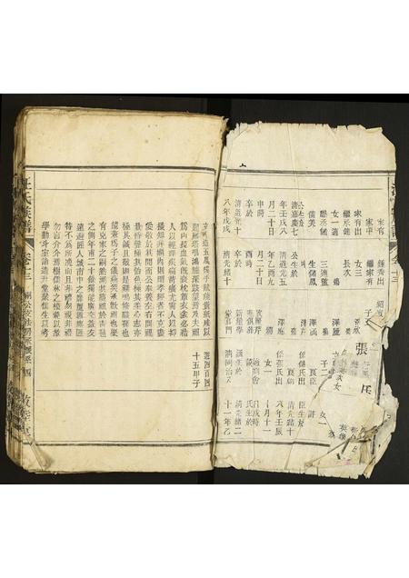 安徽汪氏族谱-汪氏宗谱.pdf电子版插图2