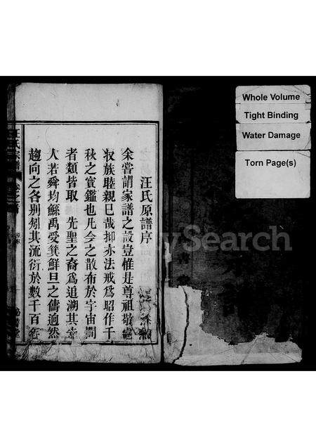 安徽汪氏族谱-汪氏宗谱 [3卷,首1卷].pdf电子版插图2