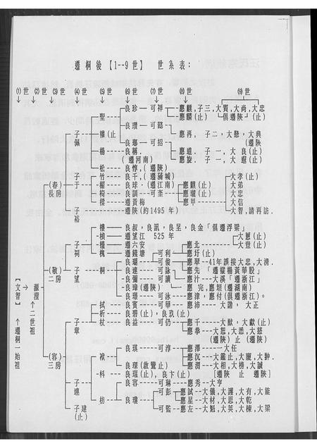 安徽汪氏族谱-皖桐梅城汪氏家谱[合1册].pdf电子版插图2
