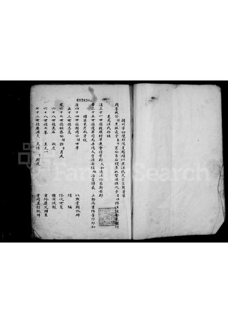 安徽汪氏族谱-颖川晋初陈郡阳夏县靖仁里汪氏大宗历朝续录.pdf电子版插图2