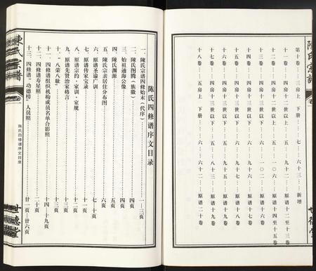 安徽陈氏族谱-陈氏宗谱.pdf电子版插图2