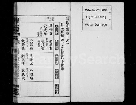 安徽储氏族谱-储氏宗谱 [2卷].pdf电子版插图2