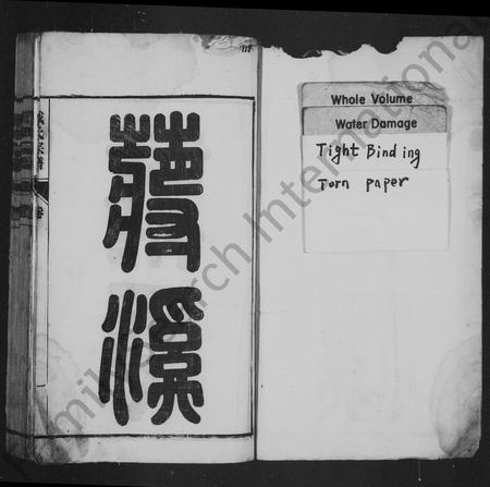 安徽戴氏族谱-戴氏宗谱 [25卷,首末各1卷].pdf电子版插图2