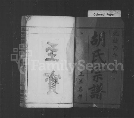 安徽胡氏族谱-胡氏宗谱 [13卷,首2卷,末1卷].pdf电子版插图2
