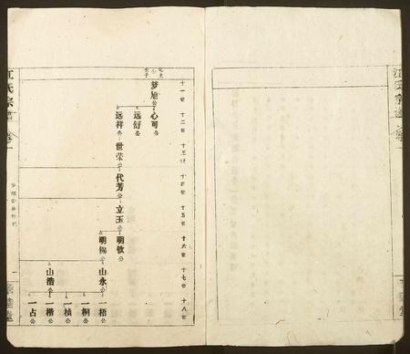 安徽江氏族谱-江氏宗谱.pdf电子版插图2