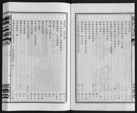 安徽罗氏族谱-罗氏宗谱.pdf电子版插图2