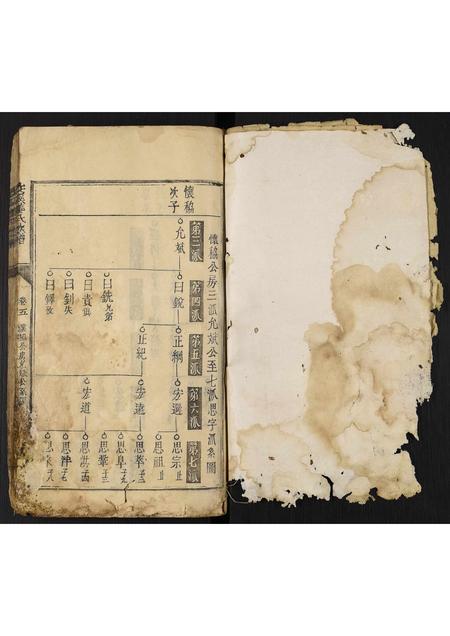 福建姜氏族谱-交溪姜氏族谱.pdf电子版插图2