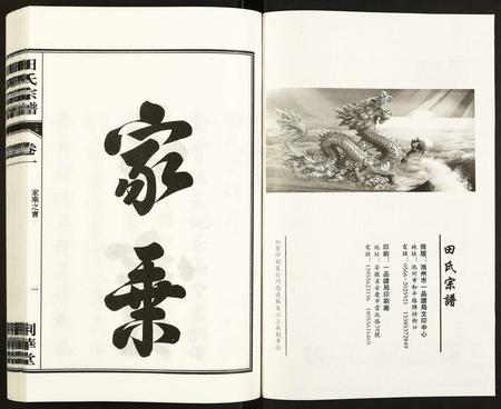 安徽田氏族谱-田氏宗谱.pdf电子版插图2