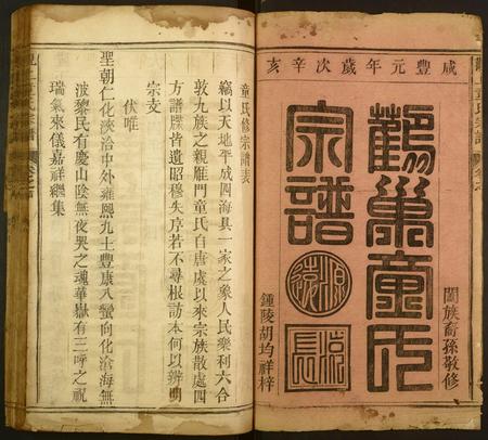 安徽童氏族谱-观上童氏宗谱.pdf电子版插图2