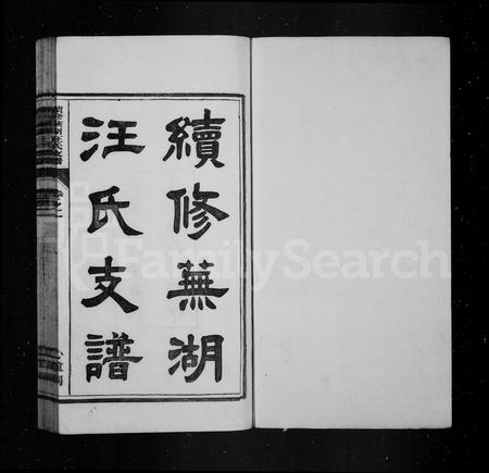 安徽汪氏族谱-续修芜湖汪氏支谱 [4卷].pdf电子版插图2