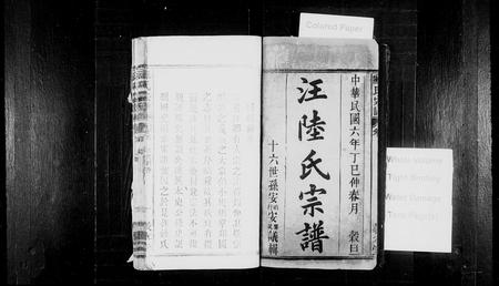 安徽汪氏陆氏汪陆氏族谱-汪陆氏宗谱 [21卷,首2卷].pdf电子版插图2