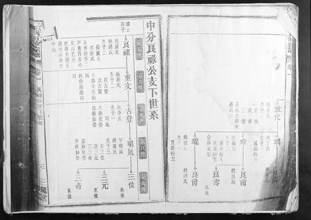 安徽王氏族谱-王氏五修宗谱.pdf电子版插图2