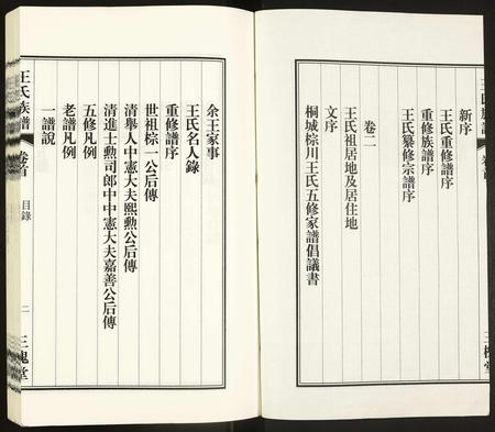 安徽王氏族谱-王氏族谱.pdf电子版插图2