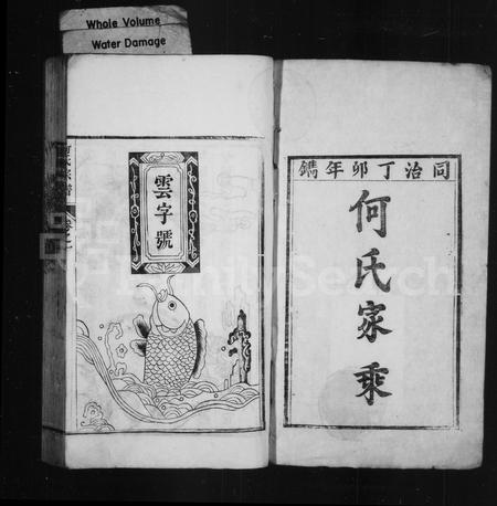 安徽何氏族谱-何氏家乘 [12卷].pdf电子版插图2