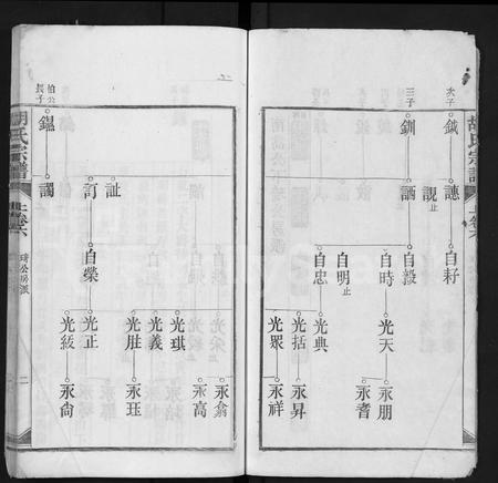 安徽胡氏族谱-胡氏宗谱 [上22卷,下4卷].pdf电子版插图2