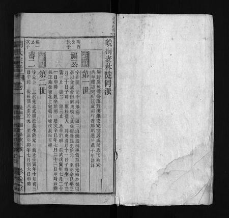 安徽胡氏族谱-胡氏宗谱 [按支分卷].pdf电子版插图2