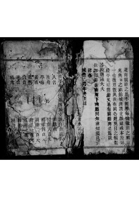 安徽金氏族谱-京兆金氏支谱.pdf电子版插图2