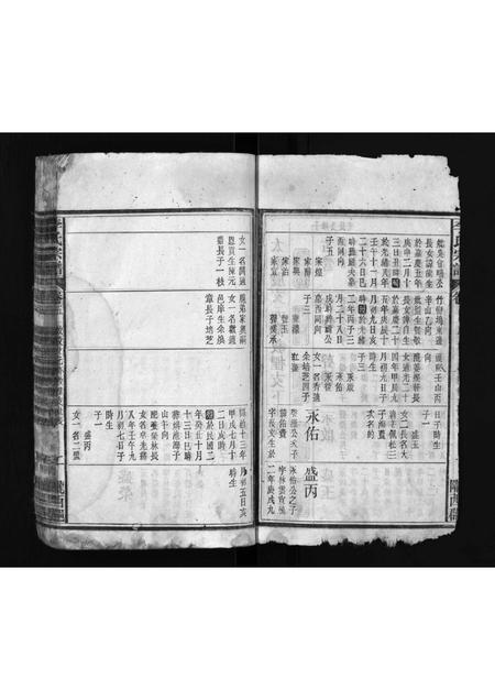 安徽李氏族谱-李氏宗谱 [7卷,首上下各1卷].pdf电子版插图2