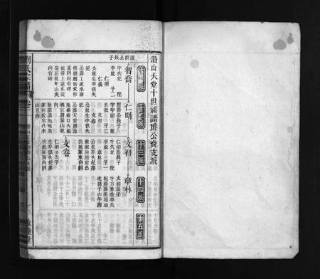 安徽刘氏族谱-刘氏宗谱 [37卷,文献及文契各1卷].pdf电子版插图2
