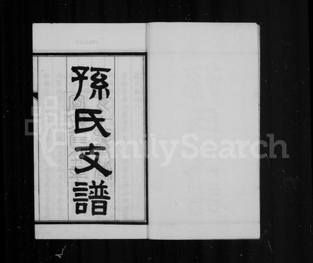 安徽孙氏族谱-孙氏支谱 [10卷].pdf电子版插图2