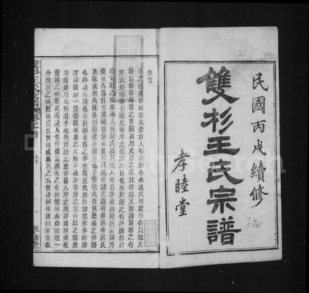 安徽王氏族谱-太原双杉王氏支谱[20卷].pdf电子版插图2