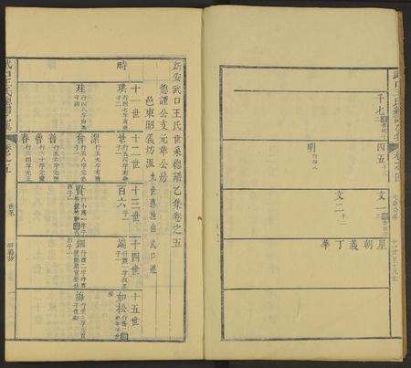 安徽王氏族谱-新安武口王氏统谱 [共264卷计40册].pdf电子版插图2