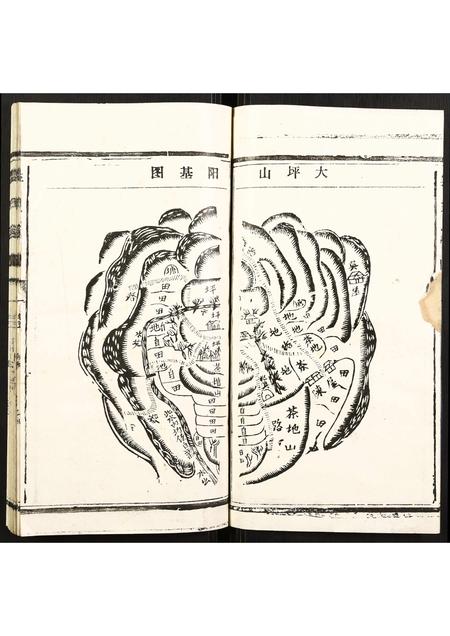 福建李氏族谱-李氏家谱.pdf电子版插图2 福建李氏族谱-李氏家谱.pdf电子版插图2