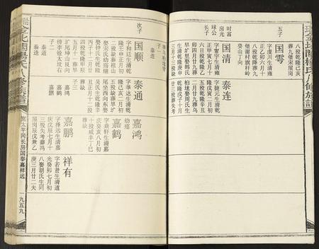 江西杨氏族谱-瑞金北关杨氏八修族谱.pdf电子版插图2